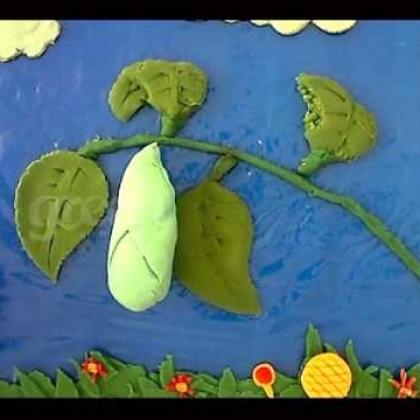 Claymation: Life Cycle