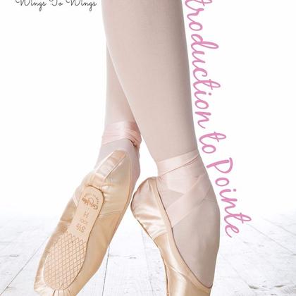 Introduction to pointe