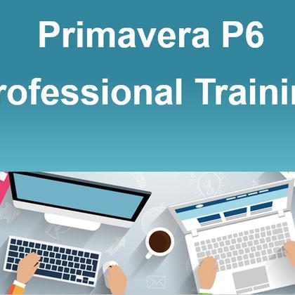 Primavera P6 Professional Training