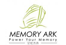 Memory Ark Pte Ltd
