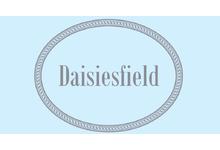 Daisies Field