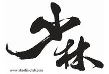 Shaolin Club Pte Ltd