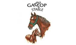Gallop Stable