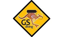Gary Savins (GS) Diving