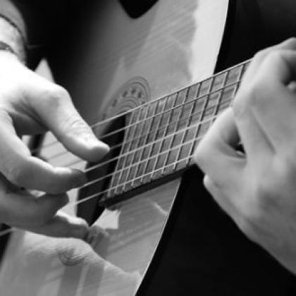 Guitar Beginner Course