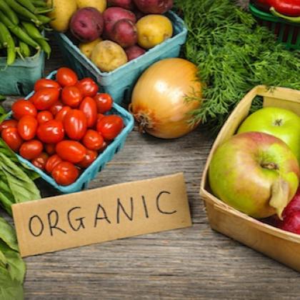 Home Grown Organic Vegetables
