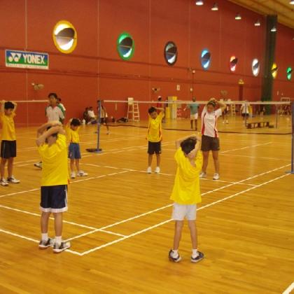 Basic Level Badminton Lesson (1 lesson per week)