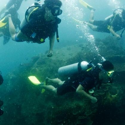 Amazing Dive PADI Open Water Diver