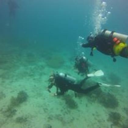 PADI Divemaster Course by The Dive Company