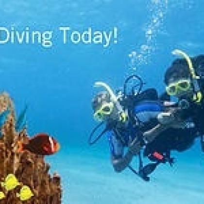 Discover Scuba by The Dive Company
