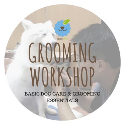 Basic Dog Care and Grooming Essentials