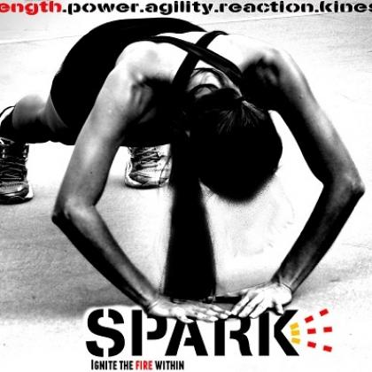 SPARK Fitness Programme