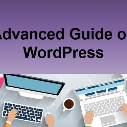 Advanced Guide on WordPress