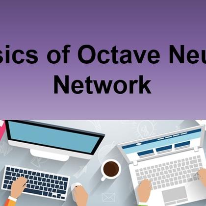 Basics of Octave Neural Network