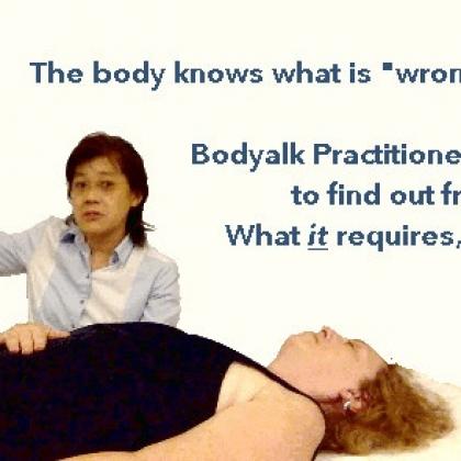 BodyTalk BodyTalk Fundamentals (Mod.1 & 2) Training and Certification