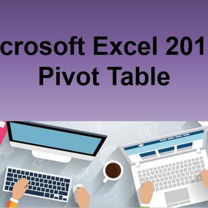Microsoft Excel 2010 - Pivot Table