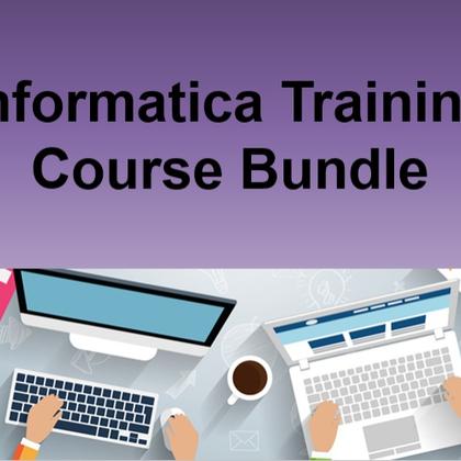 Informatica Training Course Bundle