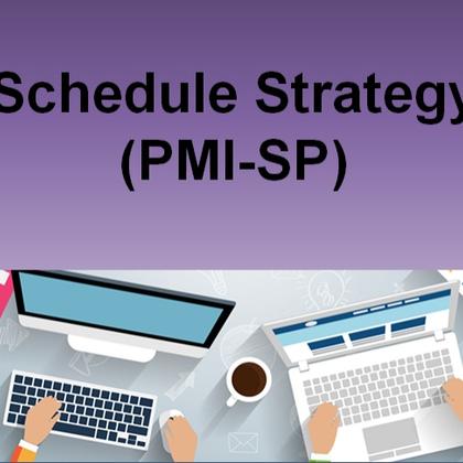 Schedule Strategy (PMI-SP)