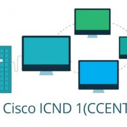 Certification at Your Fingertips - Cisco 100 -101: CCENT - ICND1 - Interconnecting Cisco Networking Devices Part 1