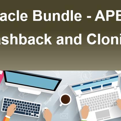 Oracle Bundle - APEX, Flashback and Cloning