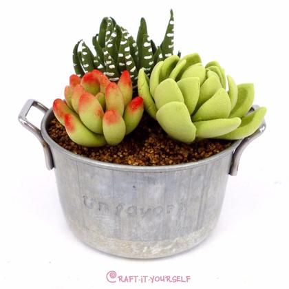 Japanese Air Dry Clay - Mini Succulents Garden