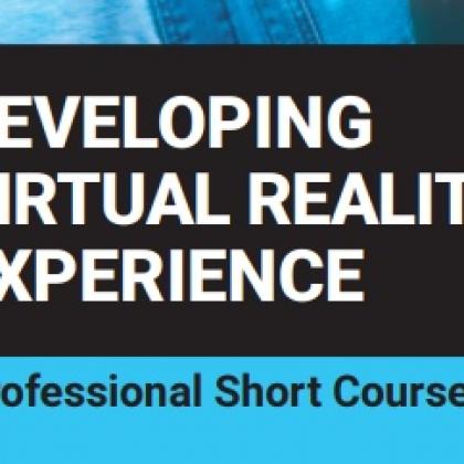 Professional Virtual Reality (VR)