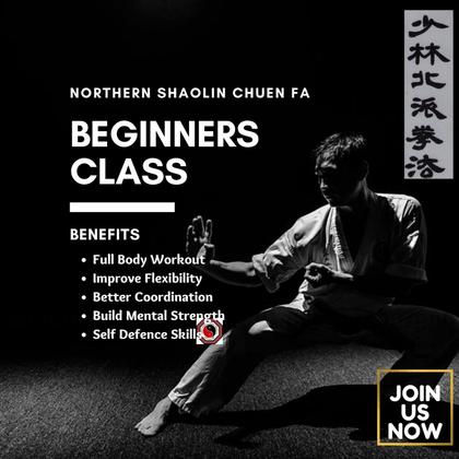 Northern Shaolin Beginners Class