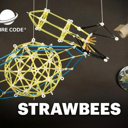 STRAWBEES CODING FOR AGES 6 - 10