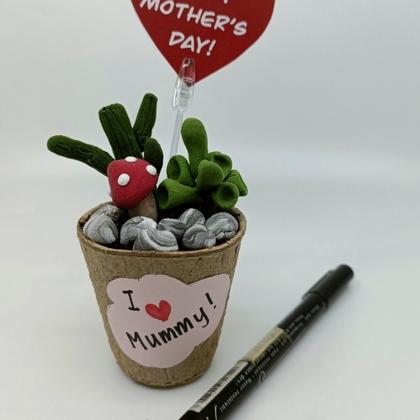 Mother's Day Children's Craft -  Clay Mini Cactus Garden - Japanese Air Dry Clay
