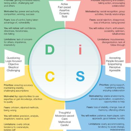 DiSC Personality Profiling / Workplace Readiness