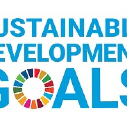 Driving Business Towards The Sustainable Development Goals