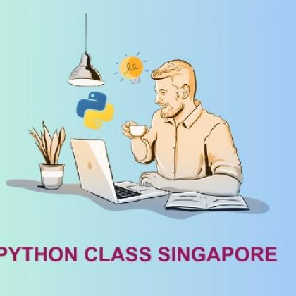 Python Class Singapore