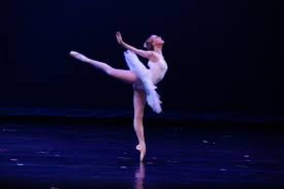 Adult Beginner Ballet