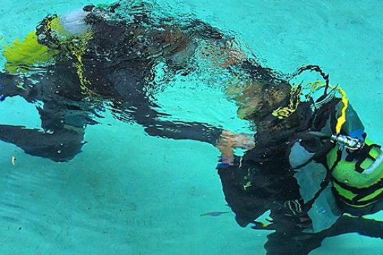 PADI Open Water Diver Course