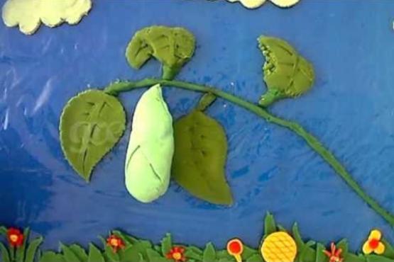 Claymation: Life Cycle