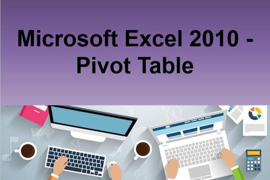 Microsoft Excel 2010 - Pivot Table