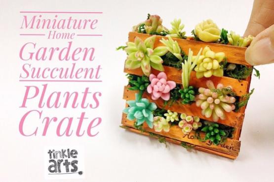 Miniature Home Garden Succulent Plants Crates