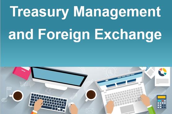 Treasury Management and Foreign Exchange