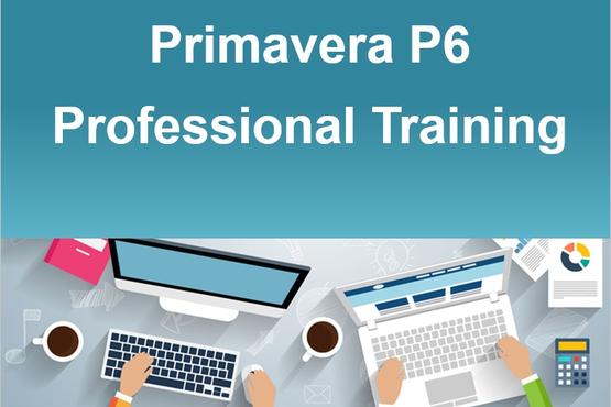 Primavera P6 Professional Training