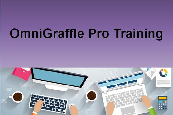OmniGraffle Pro Training