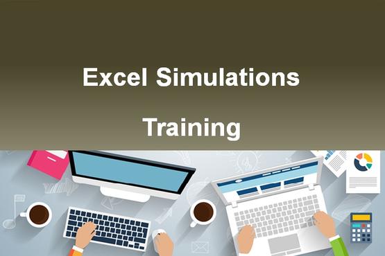 Excel Simulations Training