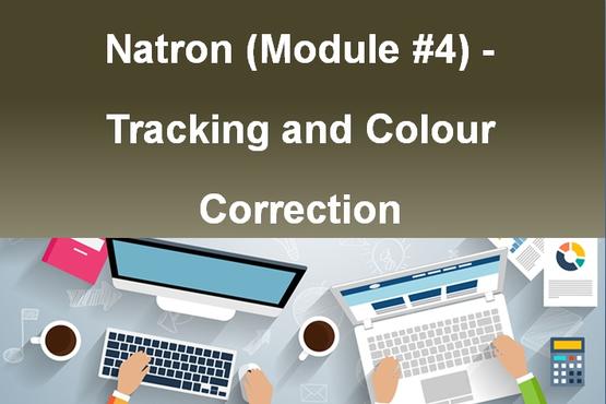 Natron (Module #4) - Tracking and Color Correction