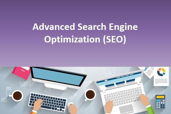 Advanced Search Engine Optimization (SEO)