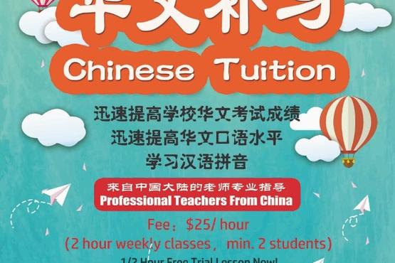 Chinese Tuition 华文补习