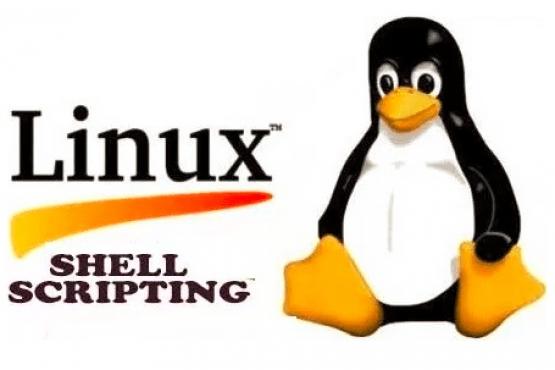 Unix / Linux Bash Shell Scripting Tutorial Course(1 Day Training)