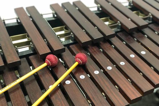 Xylophone / Glockenspiel Trial Lesson