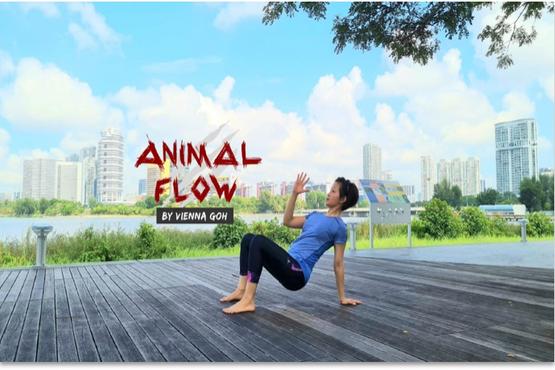 Get In Shape from Home with Animal Flow
