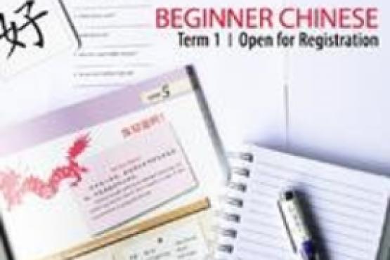 Beginner Chinese Term 1 - One North